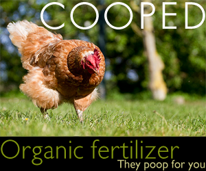 Cooped Advertizement