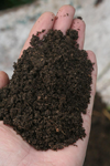 Credits Compost in Hand