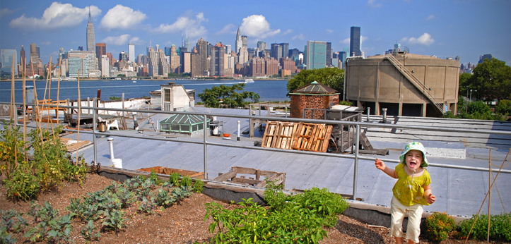 roof garden and little girl